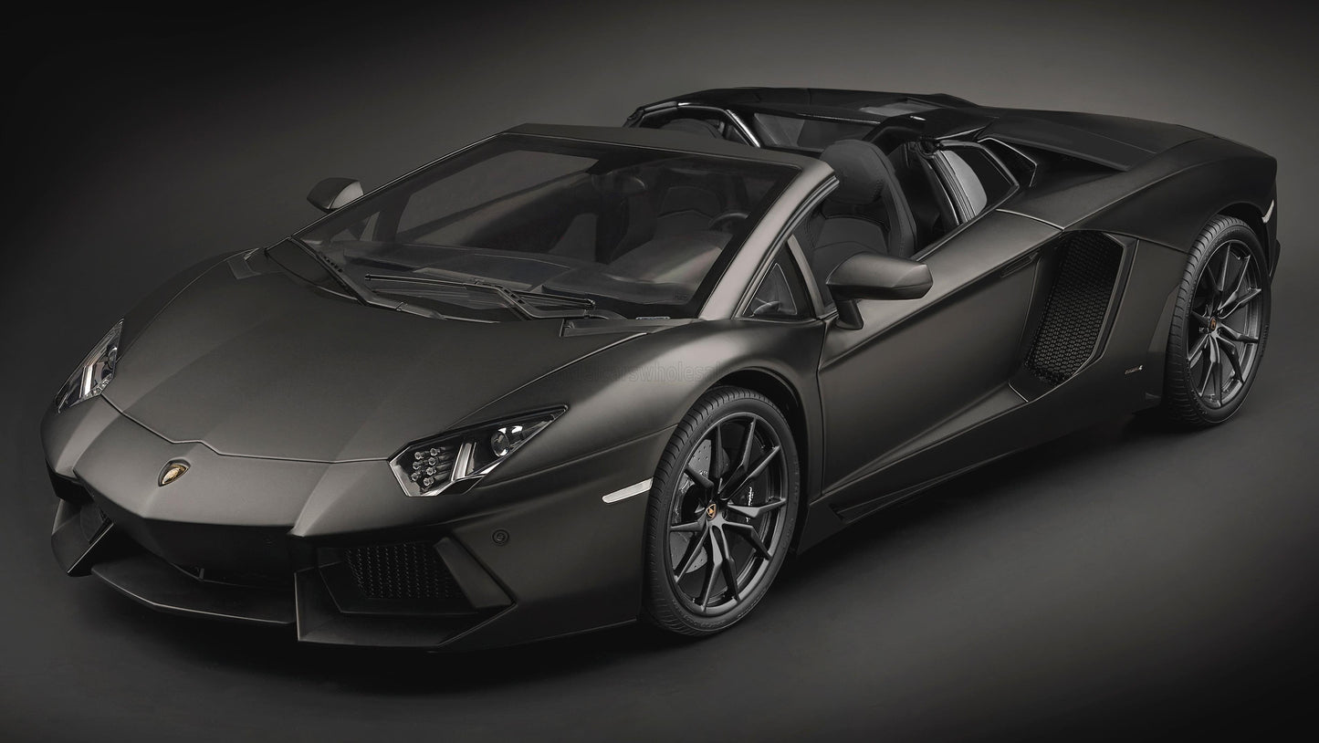 POCHER - LAMBORGHINI - AVENTADOR LP700-4 ROADSTER 2013